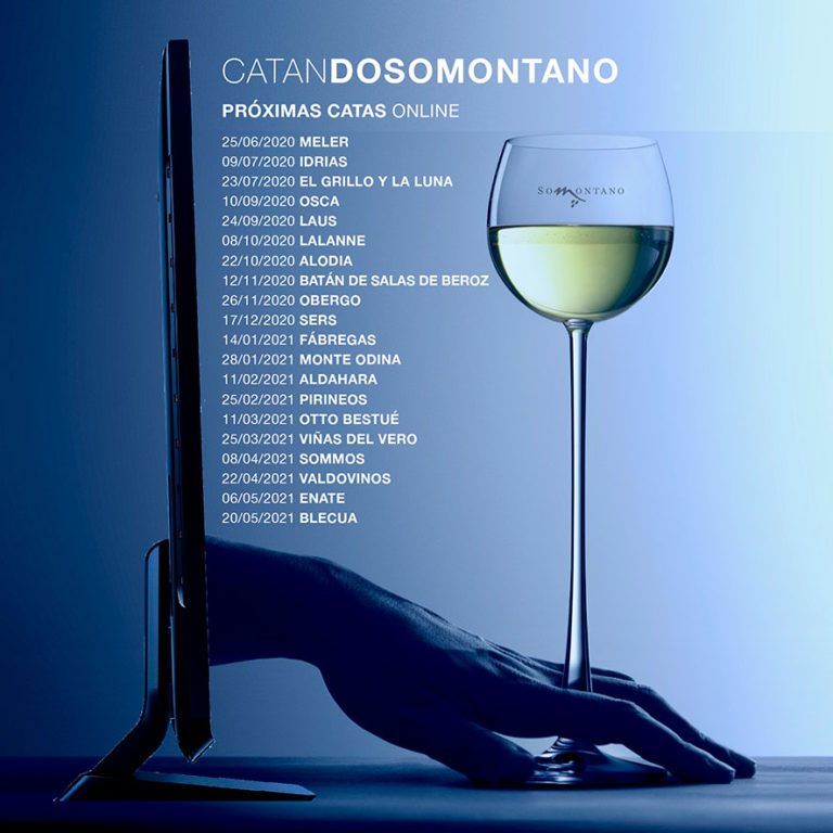 Catar un buen vino de Somontano ahora es posible online