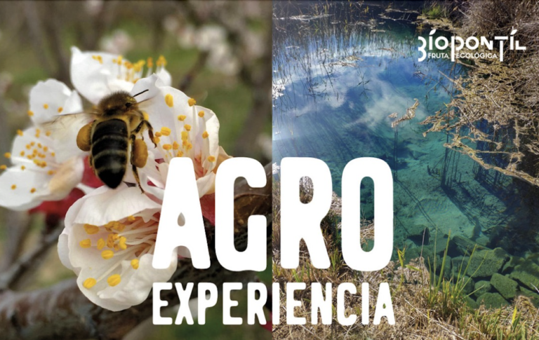 El Servicio de Medio Ambiente del Ayuntamiento de Zaragoza presenta la iniciativa: La Muestra Agroecológica