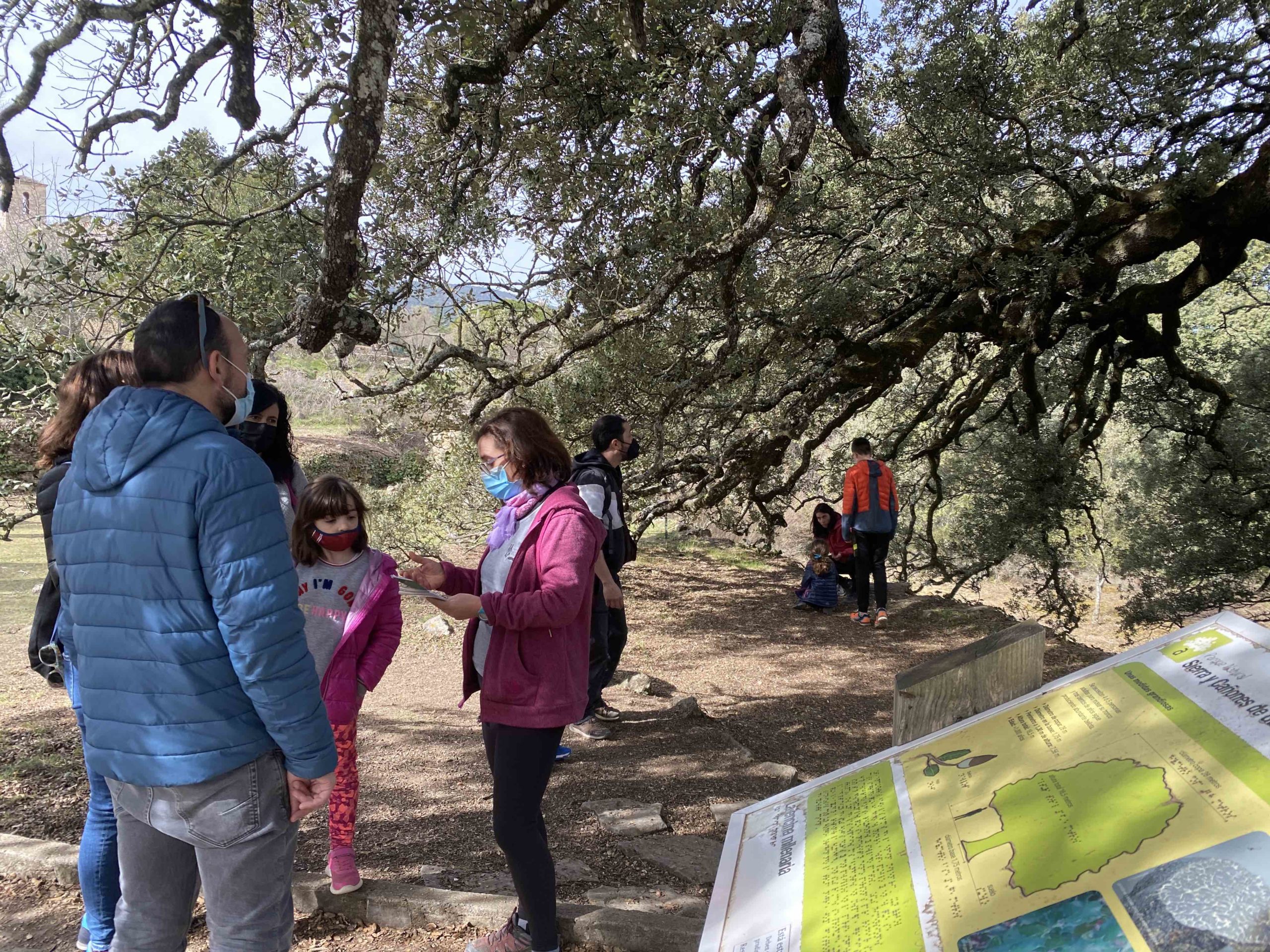 Carrasca de lecina. Aragón. Go Aragon la plataforma de difusión internacional de Aragón GoAragón. Creamos, dirigimos el proyecto Alfredo Cortés Consultores goAragon ConoceAragon