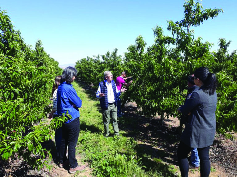 Aragón imparte el primer y único título de experto en comunicación agroalimentaria