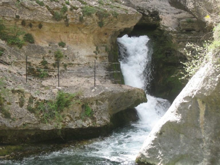 Lanzan el Premio Aragón Medio Ambiente 2026 con plazo hasta el 14 de abril