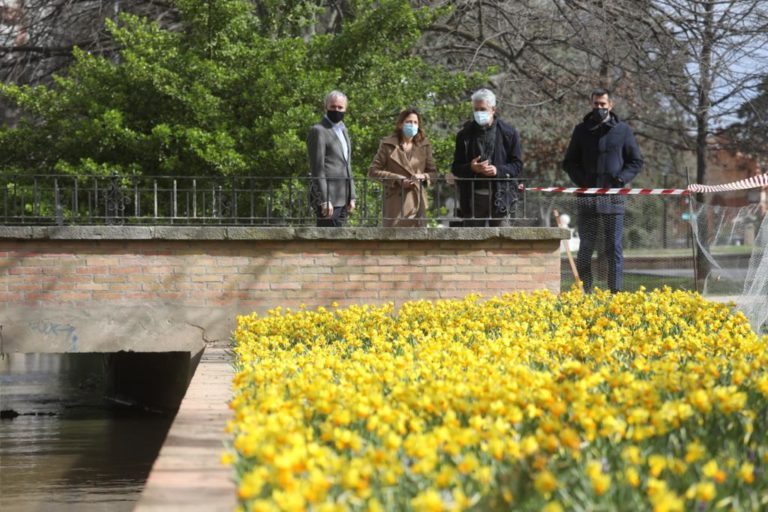 3.900 rosales adornarán el nuevo Parque Grande de Zaragoza