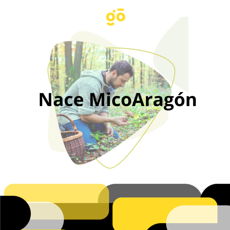 Nace MicoAragón, órgano de referencia para la gestión y valorización de los recursos micológicos