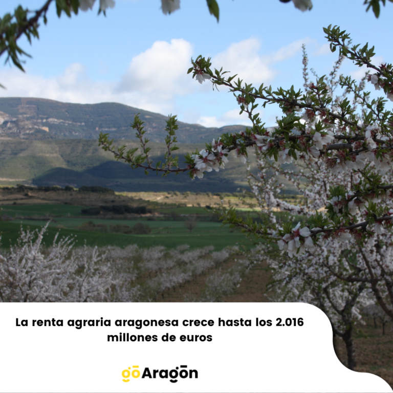 La renta agraria aragonesa crece hasta los 2.016 millones de euros
