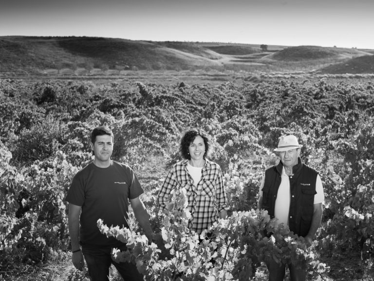 Bodegas Tempore, 20 años de liderazgo en la producción de vinos ecológicos
