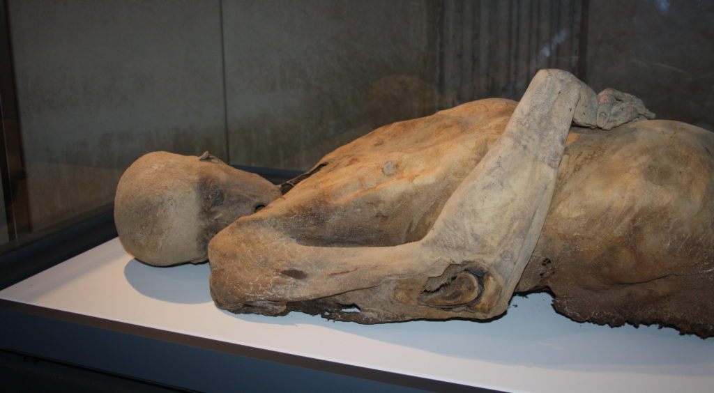 museo de las momias de quinto