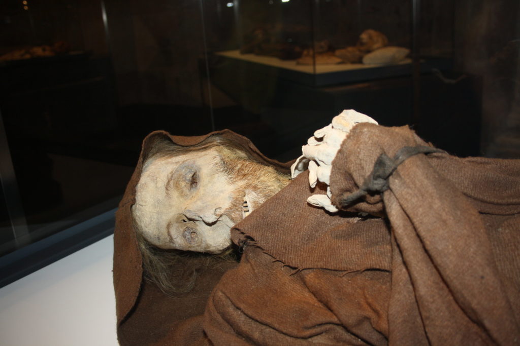 museo de las momias de quinto
