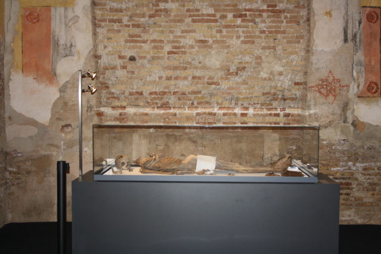 Museo de las Momias de Quinto, una manera única de viajar al pasado