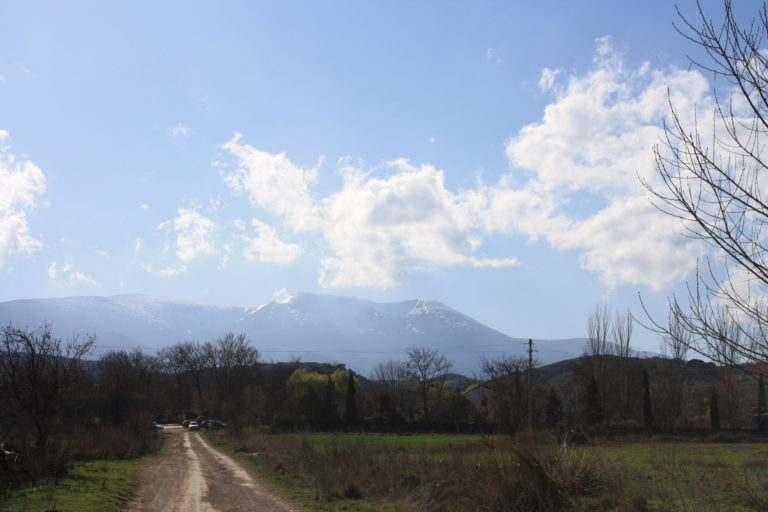 Nuevas alternativas para hacer senderismo en Zaragoza: Caminos de Veruela y senderos turísticos de Aragon