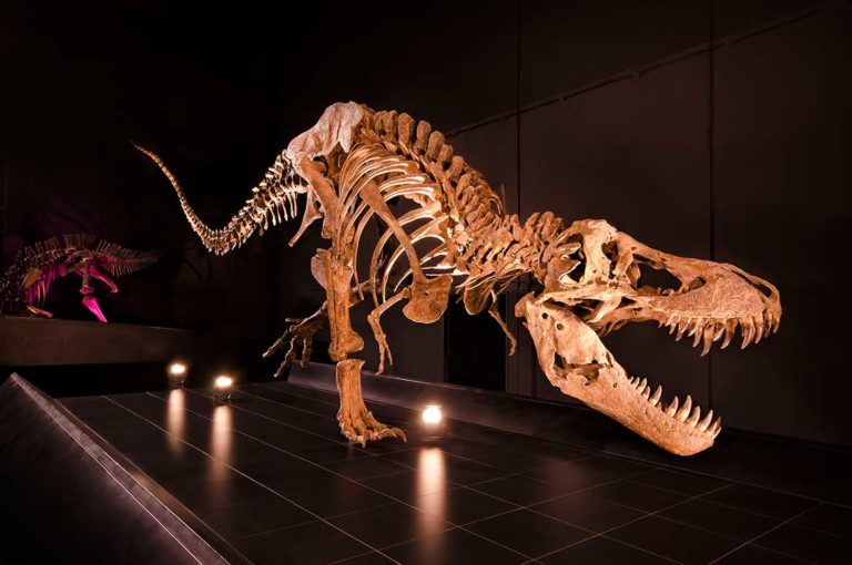 6 museos de Teruel que no te puedes perder