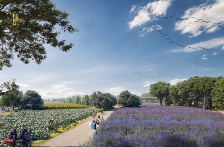Bosque de los zaragozanos: uno de los proyectos europeos más ambiciosos de reforestación urbana