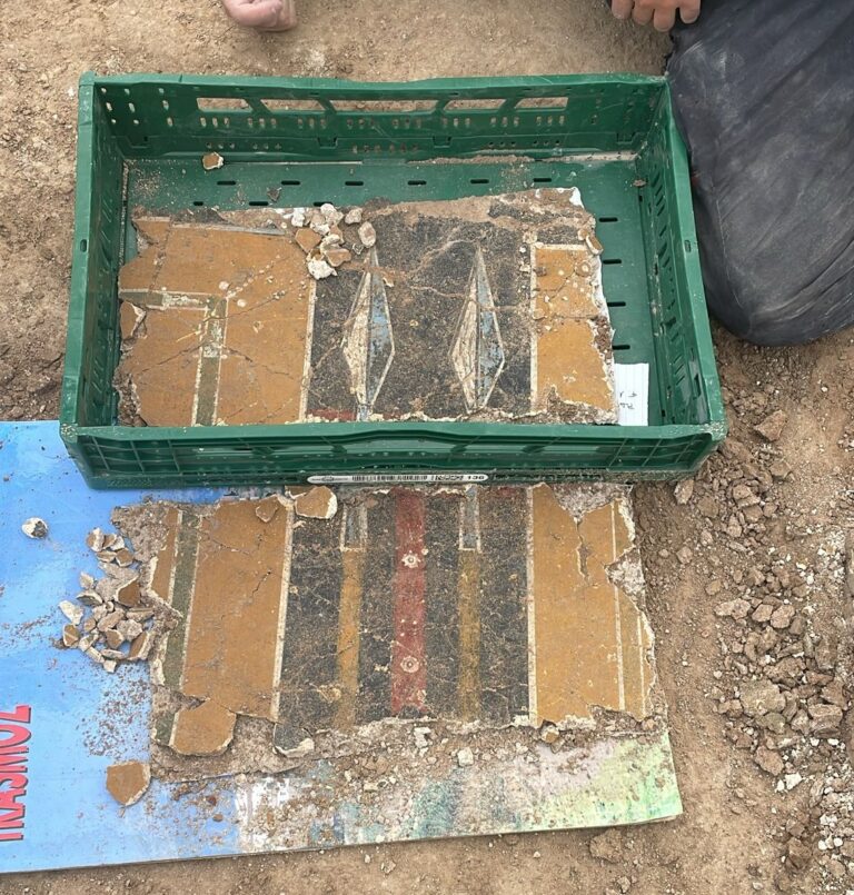 Hallazgo de pintura mural romana única en Borja, 2025