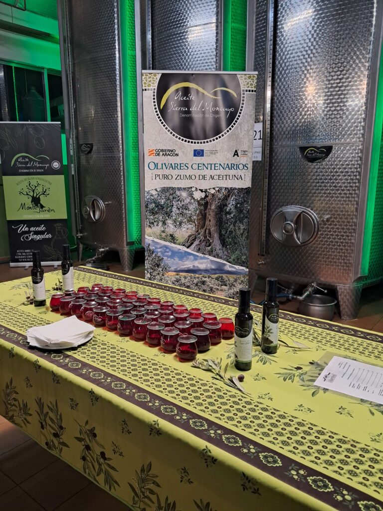 Desayunos Saludables en Zaragoza: Fomentando hábitos sanos