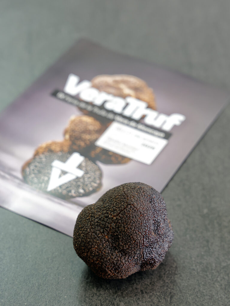 Vera de Moncayo abre la temporada trufera 2026 con una feria clave para la gastronomía profesional