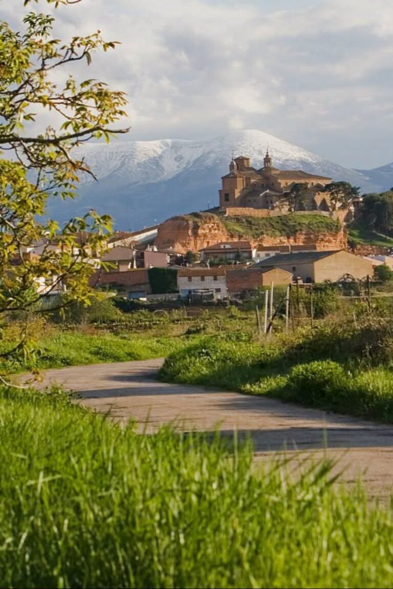Naturaleza y fauna en el Parque Natural del Moncayo: El techo de Aragón y su biodiversidad espectacular