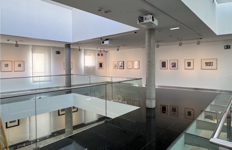 Ejea de los Caballeros exhibe 80 obras de Sergio Aragón
