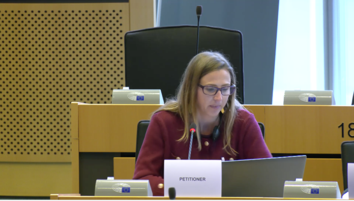La Alianza Corredores.eu impulsa el Túnel Central del Pirineo en la UE - Imagen relacionada con "La Alianza Corredores.eu impulsa la integración del Túnel Central del Pirineo, mejorando la conectividad y la sostenibilidad del transporte en Europa."