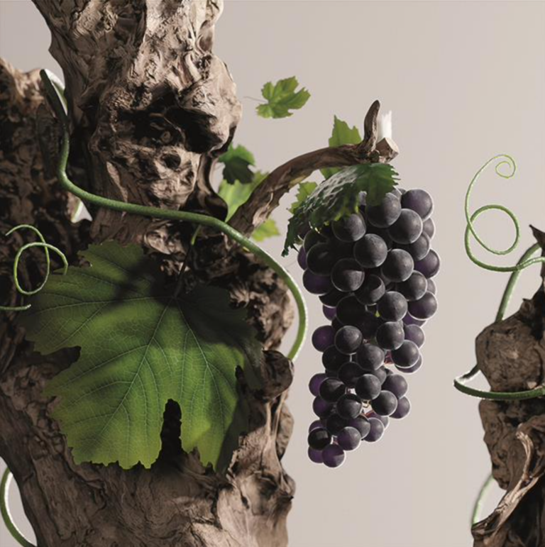 Encuentros de Excelencia e Inspiración dentro del Festival Internacional de la Garnacha