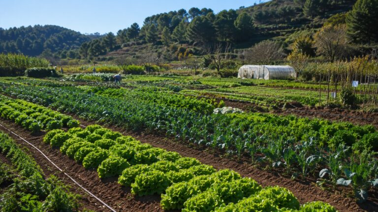 Cerca de 150 productores ecológicos de Aragón y Cataluña se unen para ganar tamaño y abrir nuevos mercados